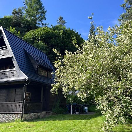 Drewniany Domek Bb Nad Rzeka Powrożnik エクステリア 写真